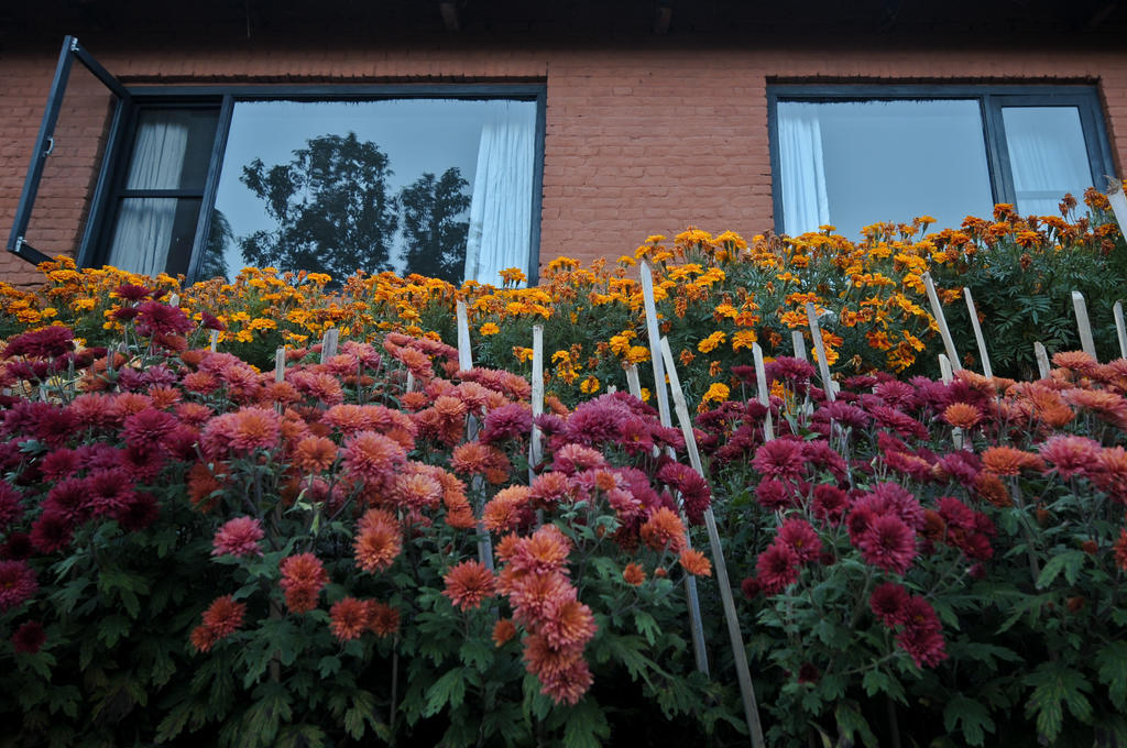 Dhulikhel Mountain Resort מראה חיצוני תמונה